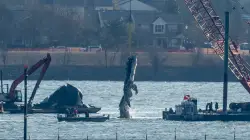 Air traffic controller should have warned plane of Army helicopter's path ahead of fatal DC crash: FAA